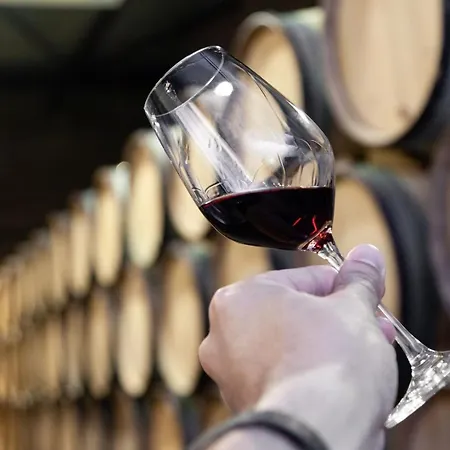 アパート Bonjardim Loft